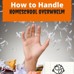 How to Handle Homeschool Overwhelm