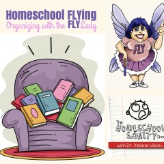 Homeschool FLYing: Organizing with the FLYLady