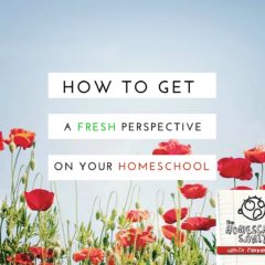 How to Get a Fresh Perspective on Your Homeschool