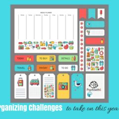 Homeschool Organizing Challenges You Should Complete This Year