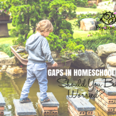 Educational Gaps: Should You Be Worried?
